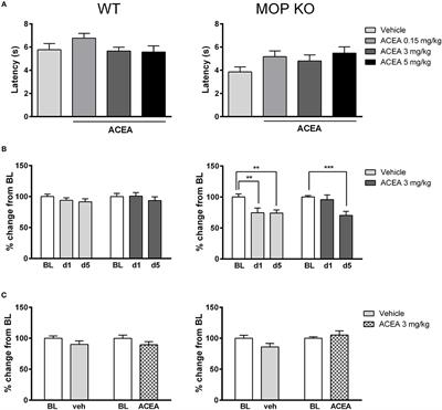 CB1 Agonism Alters Addiction-Related Behaviors in Mice Lacking Mu or Delta Opioid Receptors